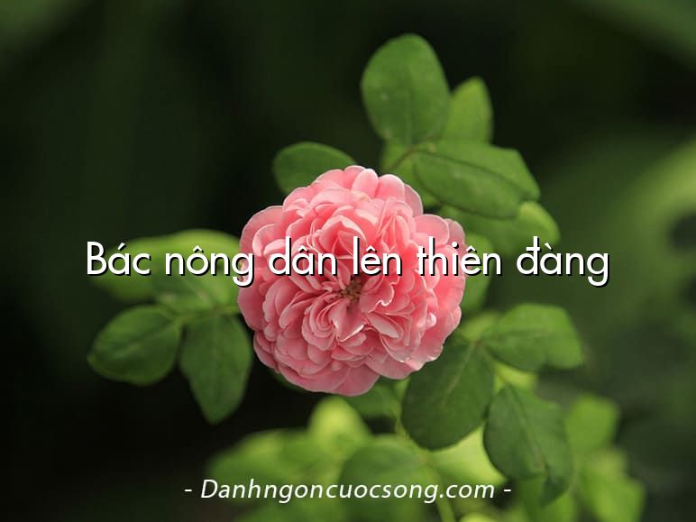 Bác nông dân lên thiên đàng