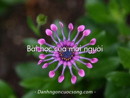 Bài học của mọi người