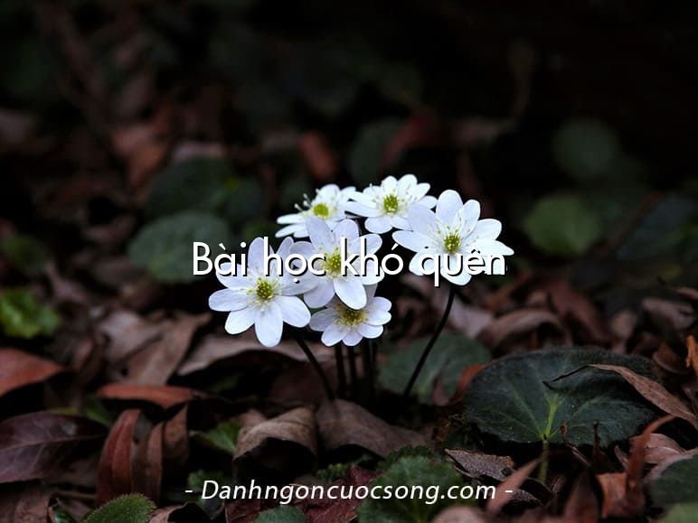 Bài học khó quên