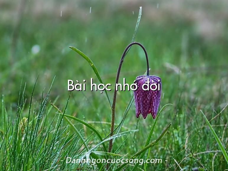 Bài học nhớ đời