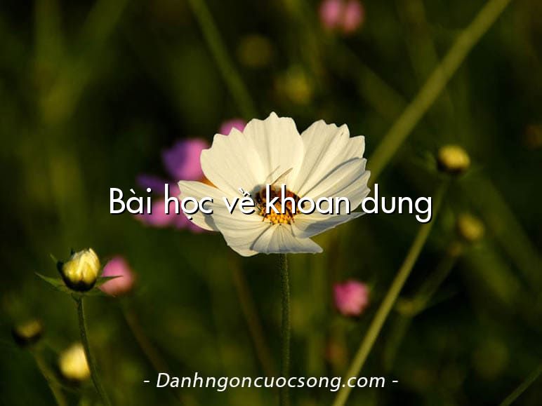 Bài học về khoan dung