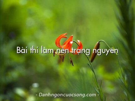 Bài thi làm nên trạng nguyên