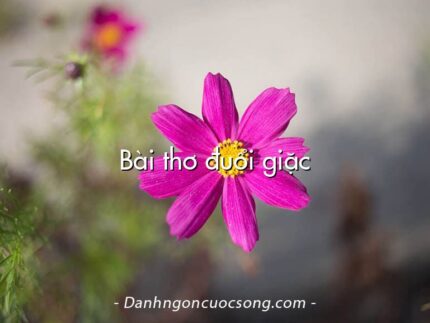 Bài thơ đuổi giặc