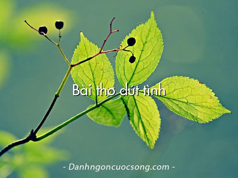 Bài thơ dứt tình