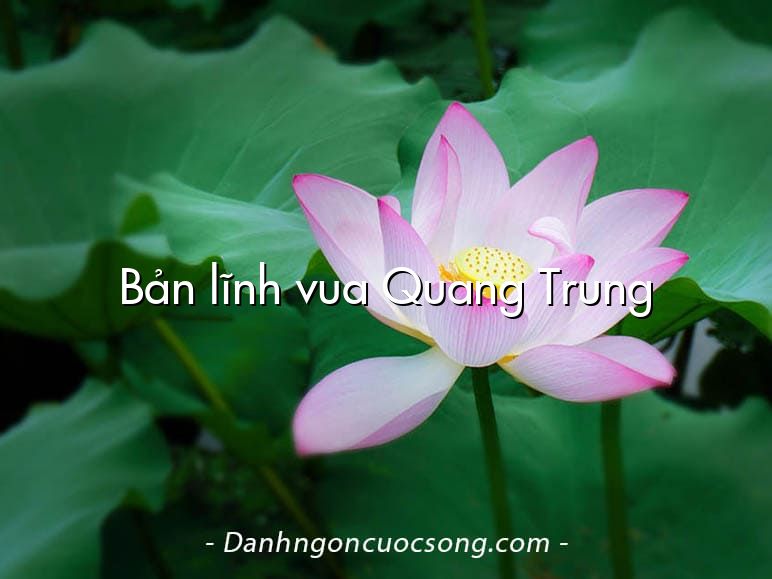 Bản lĩnh vua Quang Trung