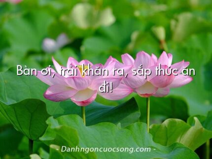 Bàn ơi, trải khăn ra, sắp thức ăn đi!