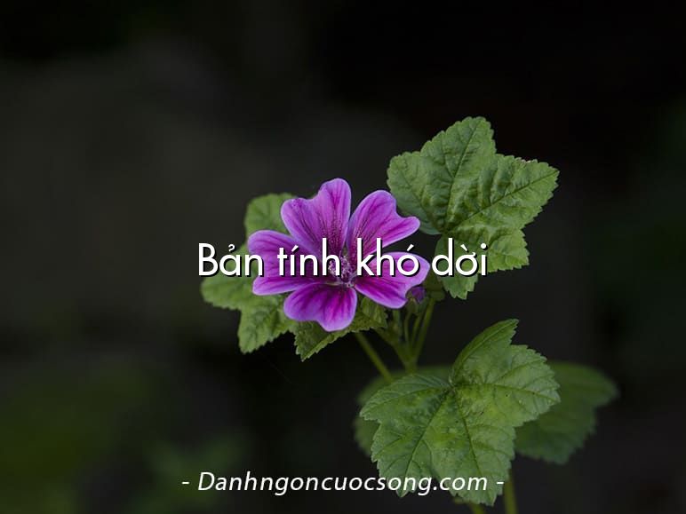 Bản tính khó dời