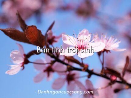 Bản tính trời sinh