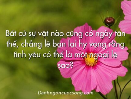 Bất cứ sự vật nào cũng có ngày tận thế, chẳng lẽ bạn lại hy vọng rằng tình yêu có thể là một ngoại lệ sao?