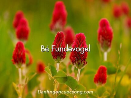 Bé Fundevogel