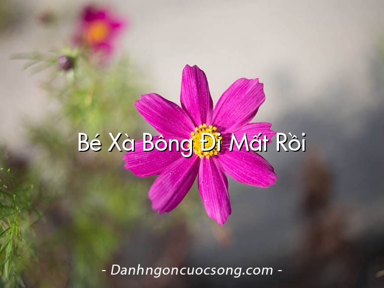 Bé Xà Bông Đi Mất Rồi