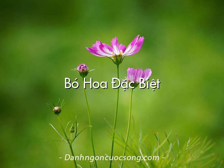 Bó Hoa Đặc Biệt