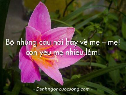 Bộ những câu nói hay về mẹ – mẹ! con yêu mẹ nhiều lắm!