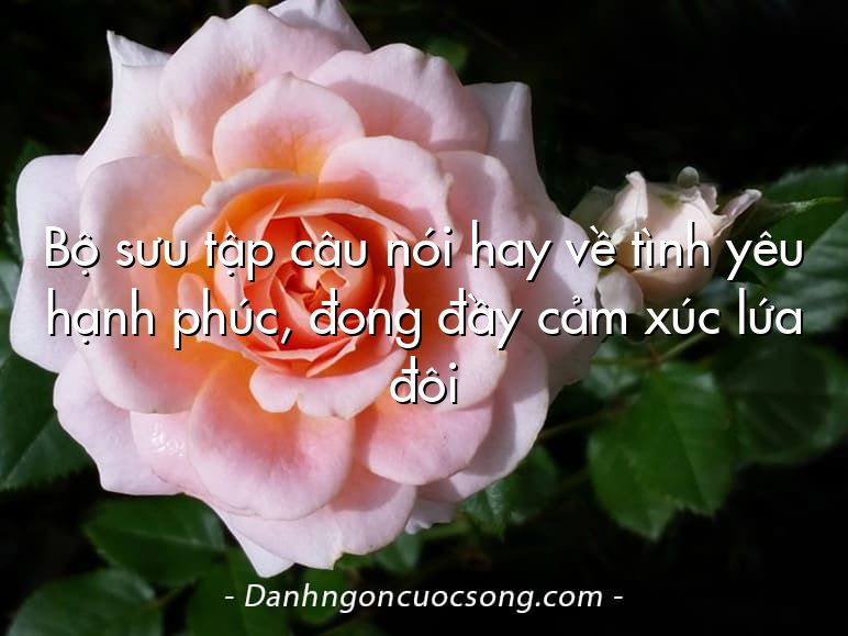 Bộ sưu tập câu nói hay về tình yêu hạnh phúc, đong đầy cảm xúc lứa đôi