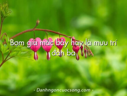 Bợm già mắc bẫy hay là mưu trí đàn bà
