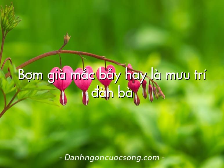 Bợm già mắc bẫy hay là mưu trí đàn bà