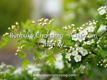 Bunbuku Chagama – Chiếc ấm thần kỳ