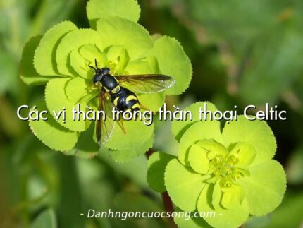 Các vị thần trong thần thoại Celtic