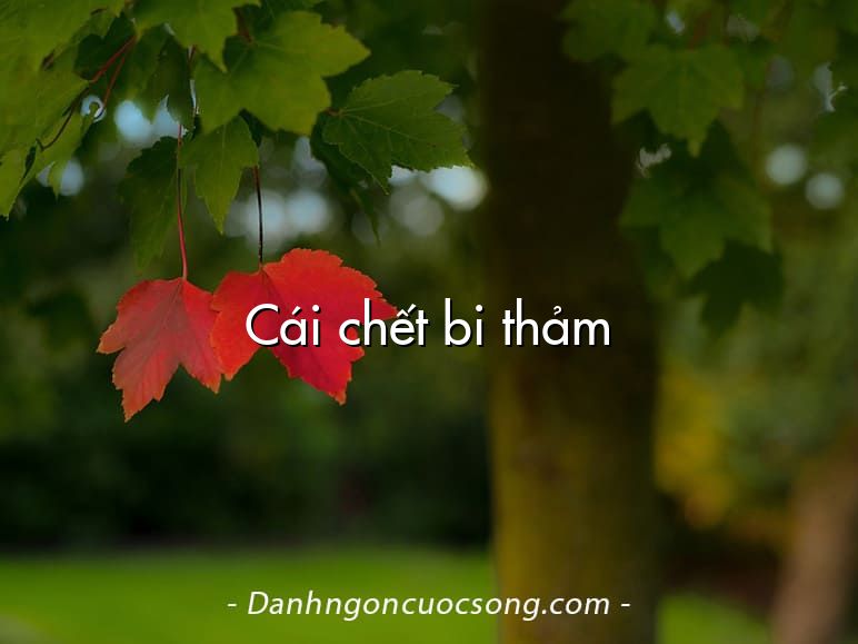 Cái chết bi thảm