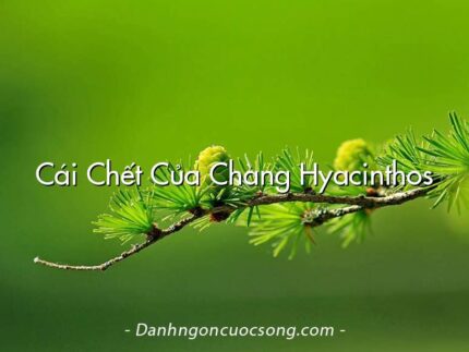 Cái Chết Của Chàng Hyacinthos