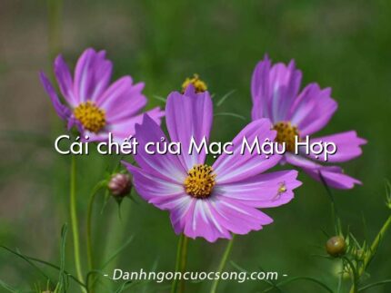 Cái chết của Mạc Mậu Hợp