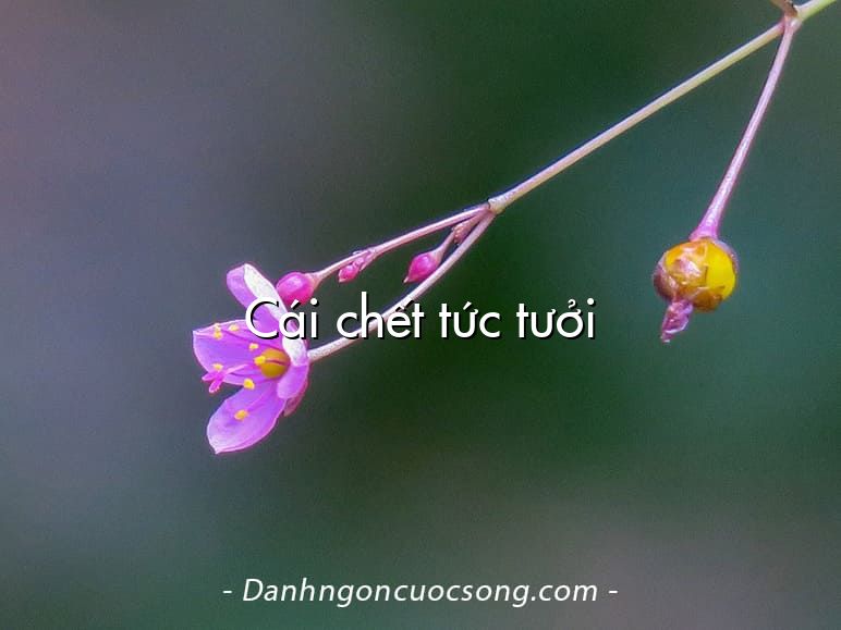 Cái chết tức tưởi