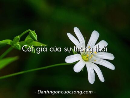 Cái giá của sự thông thái