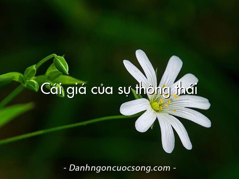 Cái giá của sự thông thái