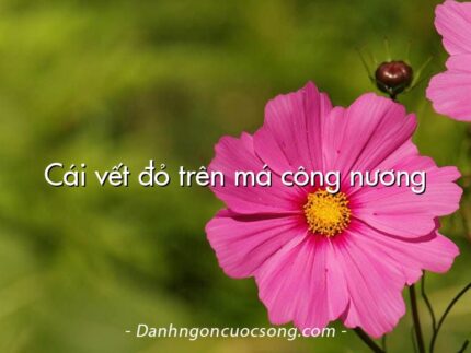 Cái vết đỏ trên má công nương