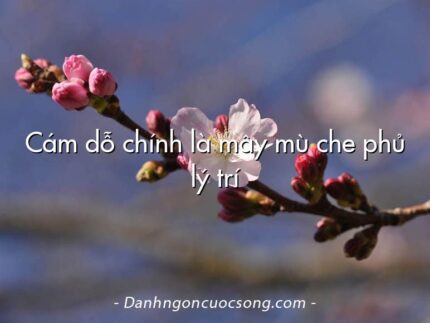 Cám dỗ chính là mây mù che phủ lý trí