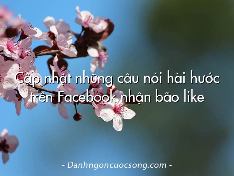 Cập nhật những câu nói hài hước trên Facebook nhận bão like