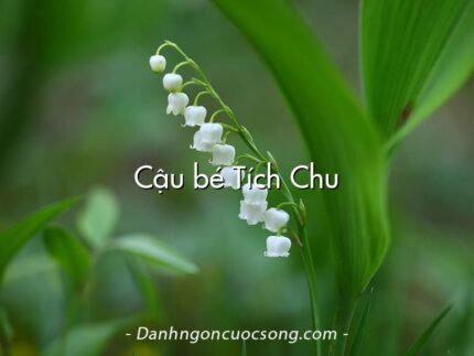 Cậu bé Tích Chu