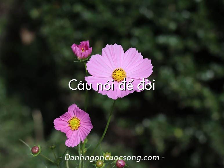 Câu nói để đời