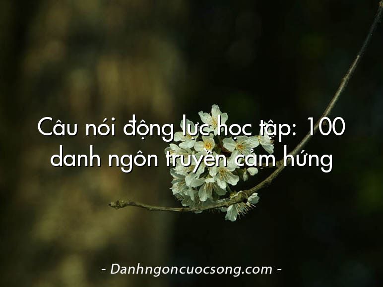 Câu nói động lực học tập: 100 danh ngôn truyền cảm hứng