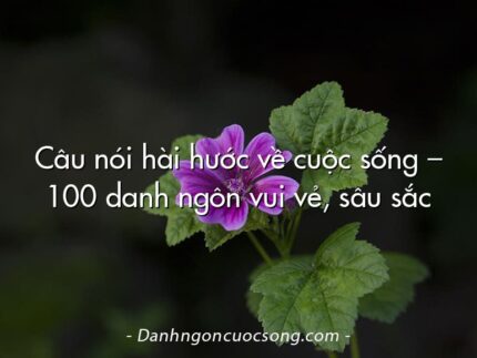 Câu nói hài hước về cuộc sống – 100 danh ngôn vui vẻ, sâu sắc