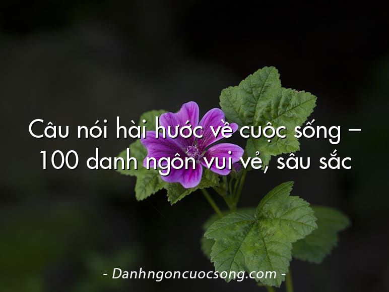 Câu nói hài hước về cuộc sống – 100 danh ngôn vui vẻ, sâu sắc