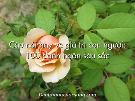 Câu nói hay về giá trị con người: 100 danh ngôn sâu sắc