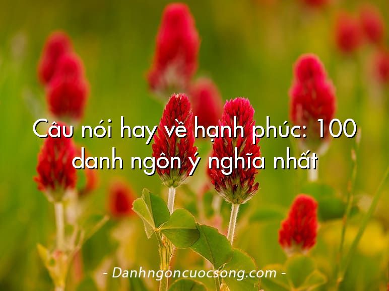 Câu nói hay về hạnh phúc: 100 danh ngôn ý nghĩa nhất