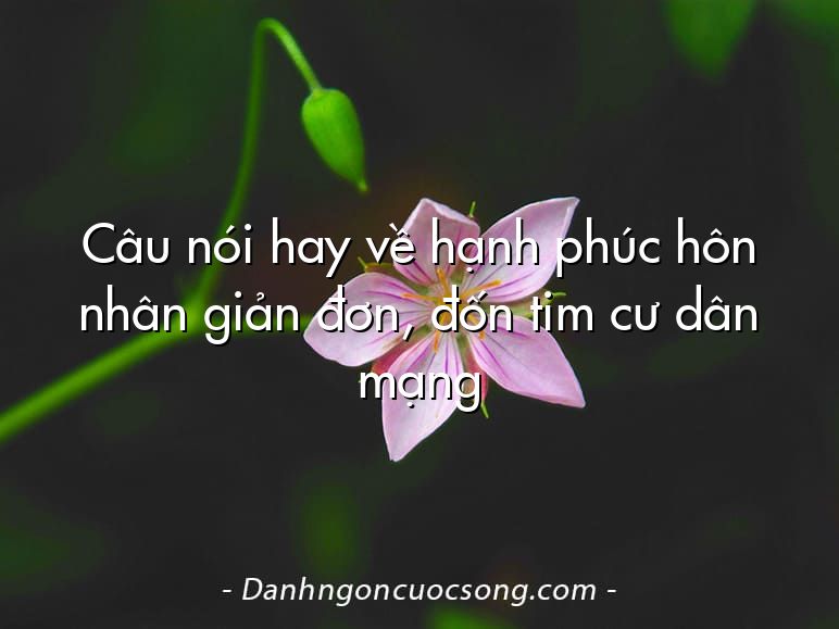 Câu nói hay về hạnh phúc hôn nhân giản đơn, đốn tim cư dân mạng