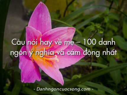 Câu nói hay về mẹ – 100 danh ngôn ý nghĩa và cảm động nhất