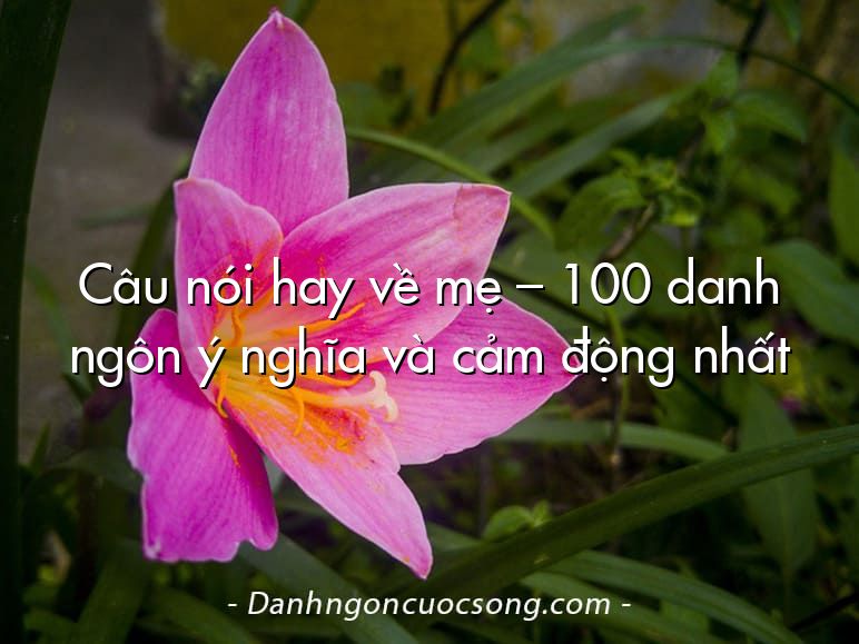 Câu nói hay về mẹ – 100 danh ngôn ý nghĩa và cảm động nhất
