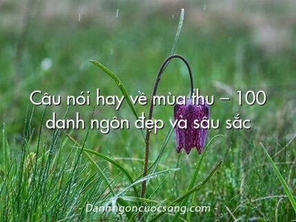 Câu nói hay về mùa thu – 100 danh ngôn đẹp và sâu sắc