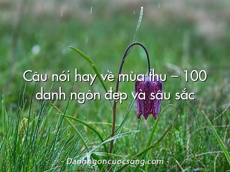 Câu nói hay về mùa thu – 100 danh ngôn đẹp và sâu sắc