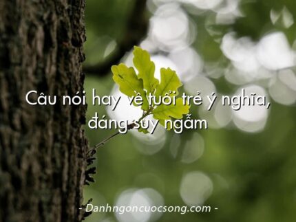 Câu nói hay về tuổi trẻ ý nghĩa, đáng suy ngẫm