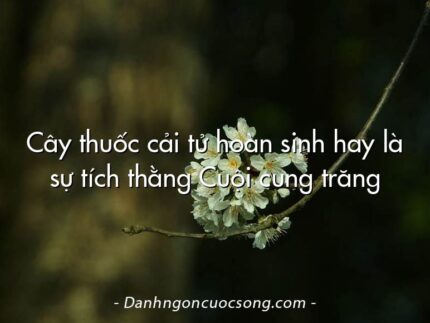 Cây thuốc cải tử hoàn sinh hay là sự tích thằng Cuội cung trăng