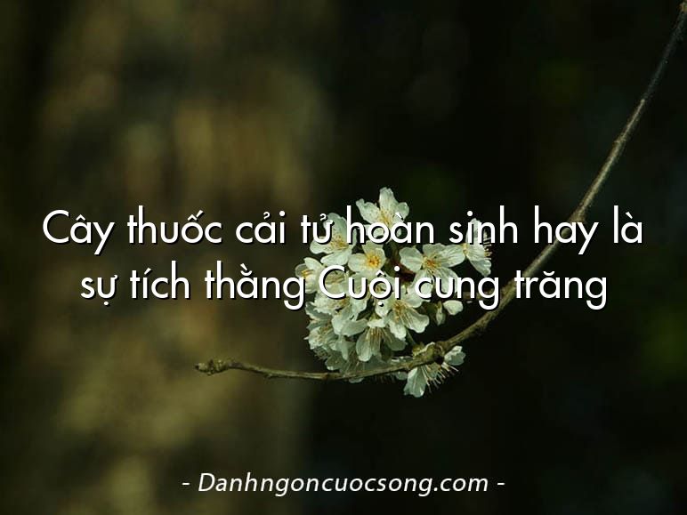 Cây thuốc cải tử hoàn sinh hay là sự tích thằng Cuội cung trăng