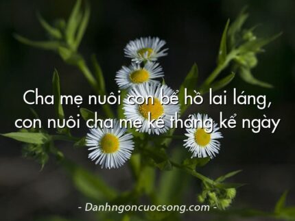 Cha mẹ nuôi con bể hồ lai láng, con nuôi cha mẹ kể tháng kể ngày