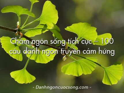 Châm ngôn sống tích cực – 100 câu danh ngôn truyền cảm hứng