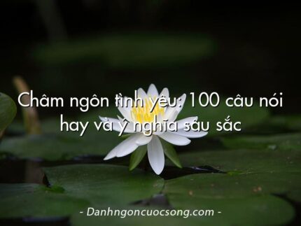 Châm ngôn tình yêu: 100 câu nói hay và ý nghĩa sâu sắc
