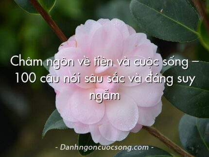 Châm ngôn về tiền và cuộc sống – 100 câu nói sâu sắc và đáng suy ngẫm